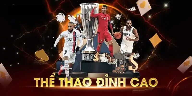 Kết hợp với các đối tác hàng đầu lĩnh vực